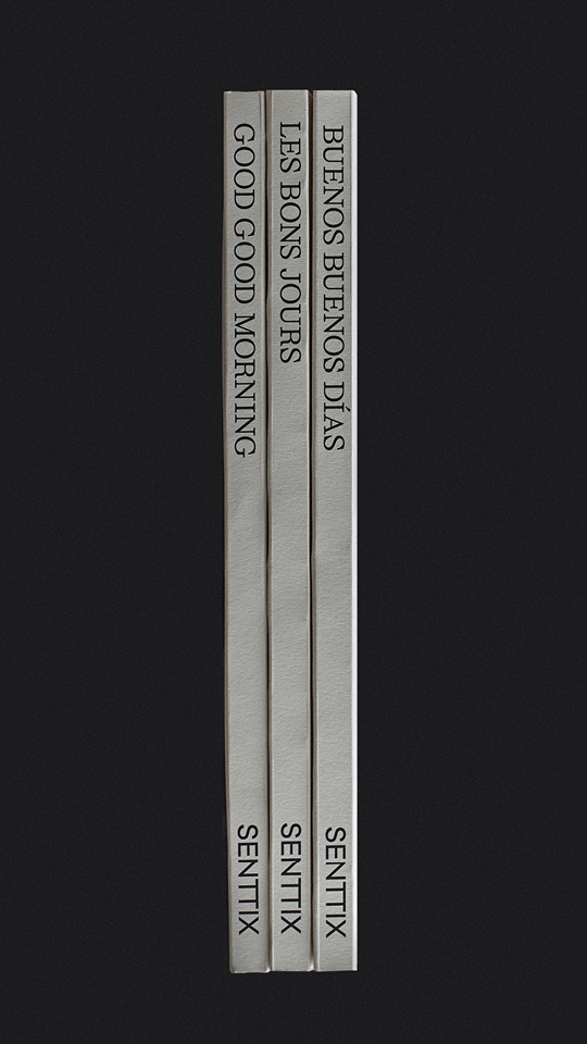 Buenos Buenos Dias - Estandar Estudio